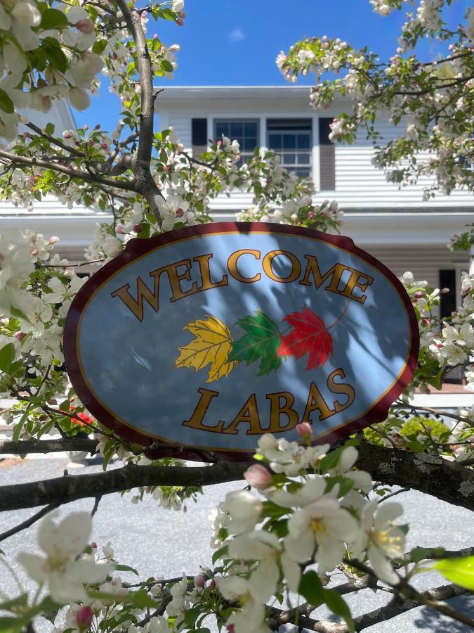 Williston Village Inn برلينغتون المظهر الخارجي الصورة